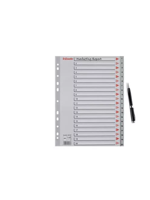 Regiszter, műanyag, A4, 1-20, ESSELTE, szürke (E100107)