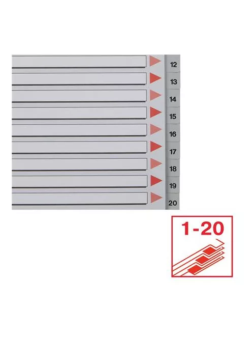 Regiszter, műanyag, A4, 1-20, ESSELTE, szürke (E100107)