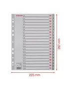 Regiszter, műanyag, A4, 1-20, ESSELTE, szürke (E100107)