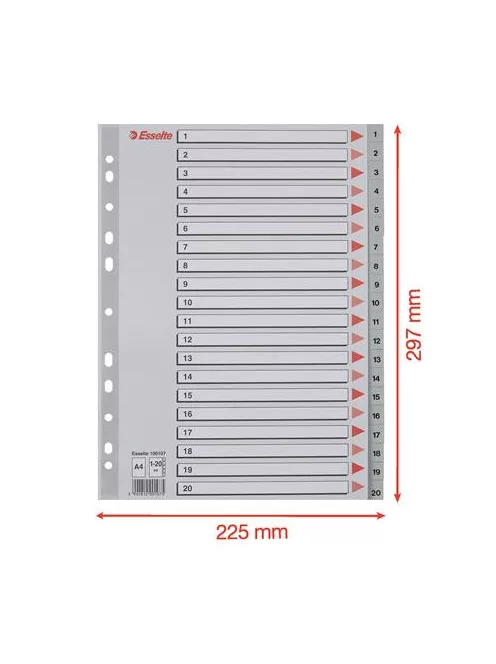 Regiszter, műanyag, A4, 1-20, ESSELTE, szürke (E100107)