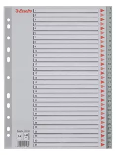 Regiszter, műanyag, A4, 1-31, ESSELTE, szürke (E100108)