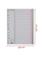 Regiszter, műanyag, A4, 1-31, ESSELTE, szürke (E100108)