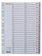 Regiszter, műanyag, A4, 1-54, ESSELTE, szürke (E100109)