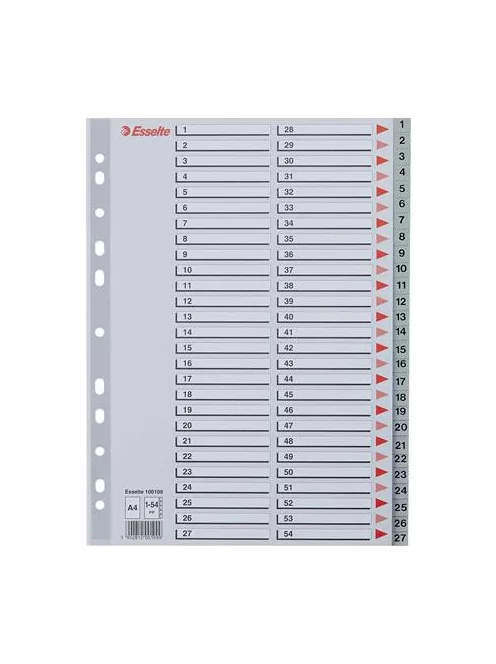 Regiszter, műanyag, A4, 1-54, ESSELTE, szürke (E100109)