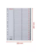 Regiszter, műanyag, A4, 1-54, ESSELTE, szürke (E100109)