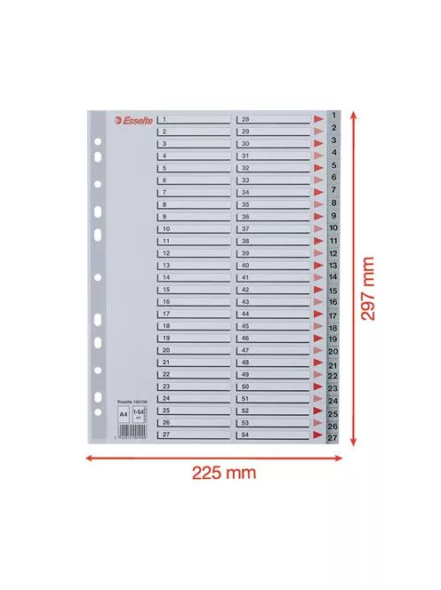 Regiszter, műanyag, A4, 1-54, ESSELTE, szürke (E100109)