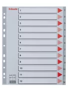 Regiszter, műanyag, A4 Maxi, 1-12, ESSELTE, szürke (E100125)