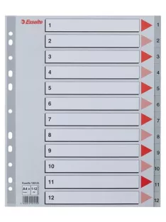   Regiszter, műanyag, A4 Maxi, 1-12, ESSELTE, szürke (E100125)