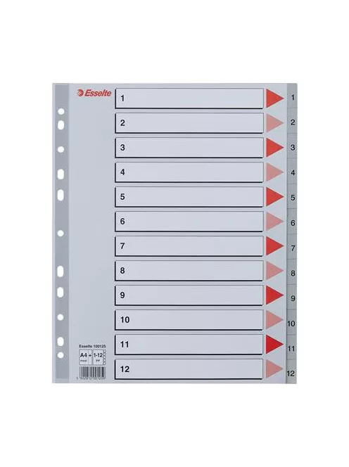 Regiszter, műanyag, A4 Maxi, 1-12, ESSELTE, szürke (E100125)