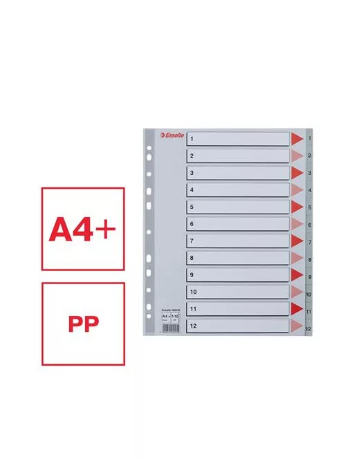 Regiszter, műanyag, A4 Maxi, 1-12, ESSELTE, szürke (E100125)