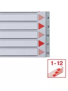 Regiszter, műanyag, A4 Maxi, 1-12, ESSELTE, szürke (E100125)