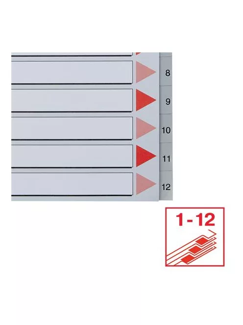 Regiszter, műanyag, A4 Maxi, 1-12, ESSELTE, szürke (E100125)