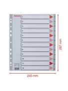Regiszter, műanyag, A4 Maxi, 1-12, ESSELTE, szürke (E100125)