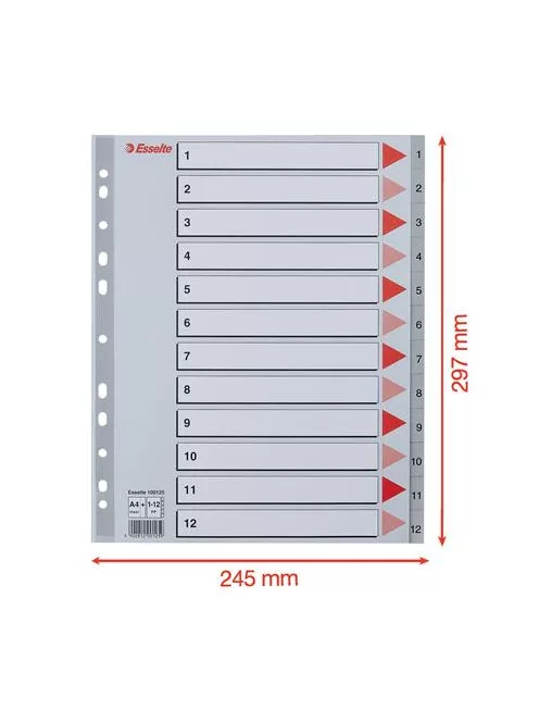 Regiszter, műanyag, A4 Maxi, 1-12, ESSELTE, szürke (E100125)