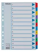 Regiszter, karton, A4, 1-12, ESSELTE "Mylar" (E100162)