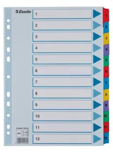   Regiszter, karton, A4, 1-12, ESSELTE "Mylar" (E100162)