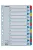 Regiszter, karton, A4, 1-12, ESSELTE "Mylar" (E100162)