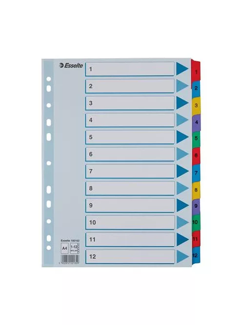 Regiszter, karton, A4, 1-12, ESSELTE "Mylar" (E100162)