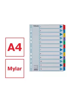   Regiszter, karton, A4, 1-12, ESSELTE "Mylar" (E100162)