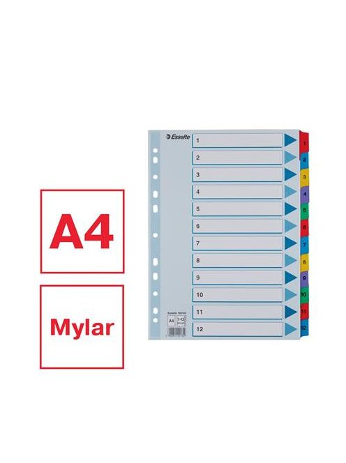 Regiszter, karton, A4, 1-12, ESSELTE "Mylar" (E100162)