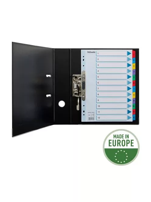 Regiszter, karton, A4, 1-12, ESSELTE "Mylar" (E100162)