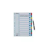 Regiszter, karton, A4, 1-12, ESSELTE "Mylar" (E100162)