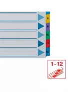 Regiszter, karton, A4, 1-12, ESSELTE "Mylar" (E100162)