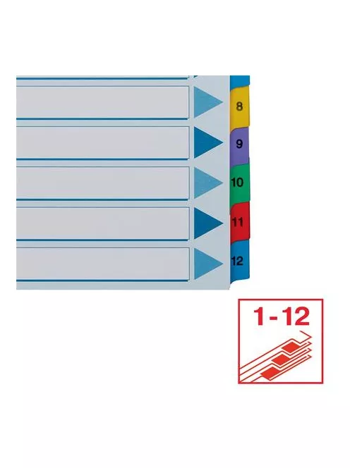 Regiszter, karton, A4, 1-12, ESSELTE "Mylar" (E100162)
