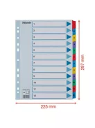 Regiszter, karton, A4, 1-12, ESSELTE "Mylar" (E100162)