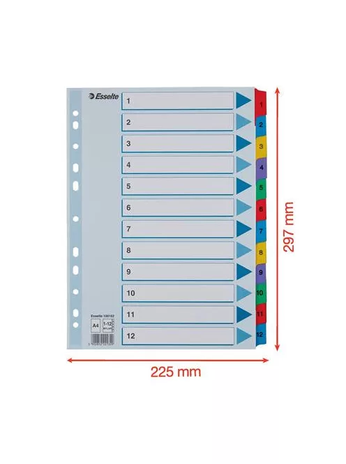 Regiszter, karton, A4, 1-12, ESSELTE "Mylar" (E100162)