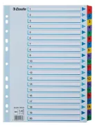 Regiszter, karton, A4, 1-20, ESSELTE "Mylar" (E100163)