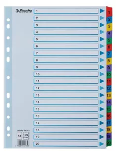   Regiszter, karton, A4, 1-20, ESSELTE "Mylar" (E100163)