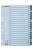 Regiszter, karton, A4, 1-20, ESSELTE "Mylar" (E100163)