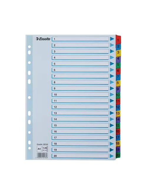 Regiszter, karton, A4, 1-20, ESSELTE "Mylar" (E100163)
