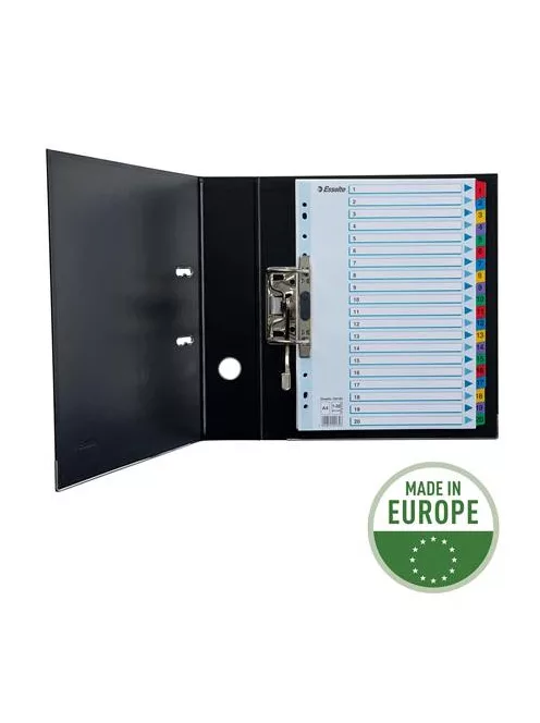 Regiszter, karton, A4, 1-20, ESSELTE "Mylar" (E100163)