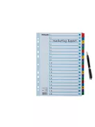 Regiszter, karton, A4, 1-20, ESSELTE "Mylar" (E100163)