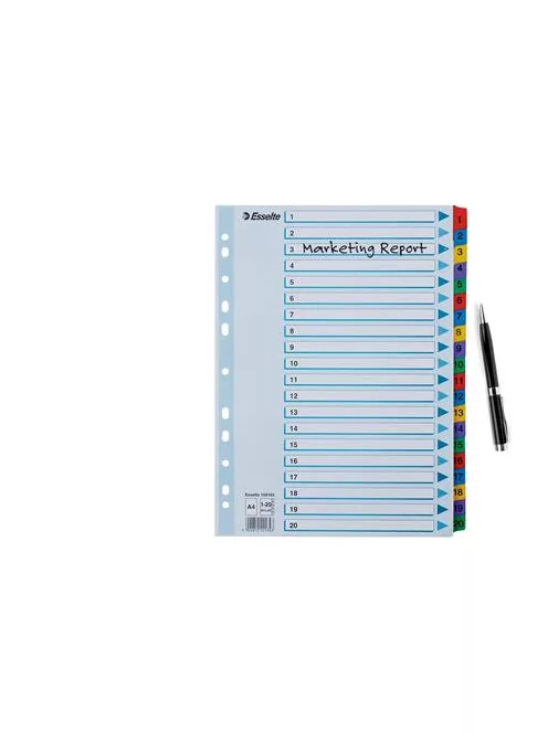 Regiszter, karton, A4, 1-20, ESSELTE "Mylar" (E100163)