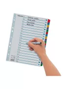 Regiszter, karton, A4, 1-20, ESSELTE "Mylar" (E100163)