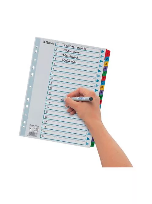 Regiszter, karton, A4, 1-20, ESSELTE "Mylar" (E100163)
