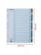Regiszter, karton, A4, 1-20, ESSELTE "Mylar" (E100163)