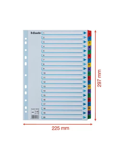 Regiszter, karton, A4, 1-20, ESSELTE "Mylar" (E100163)
