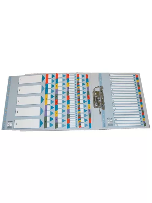 Regiszter, karton, A4, 1-20, ESSELTE "Mylar" (E100163)