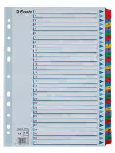   Regiszter, karton, A4, 1-31, ESSELTE "Mylar" (E100164)