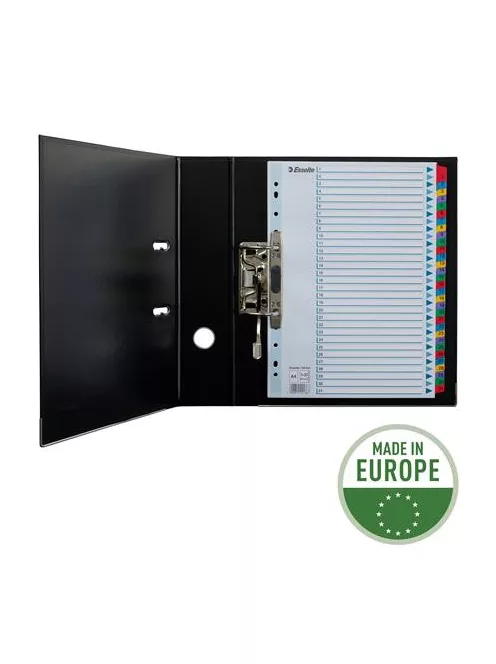 Regiszter, karton, A4, 1-31, ESSELTE "Mylar" (E100164)
