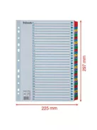 Regiszter, karton, A4, 1-31, ESSELTE "Mylar" (E100164)