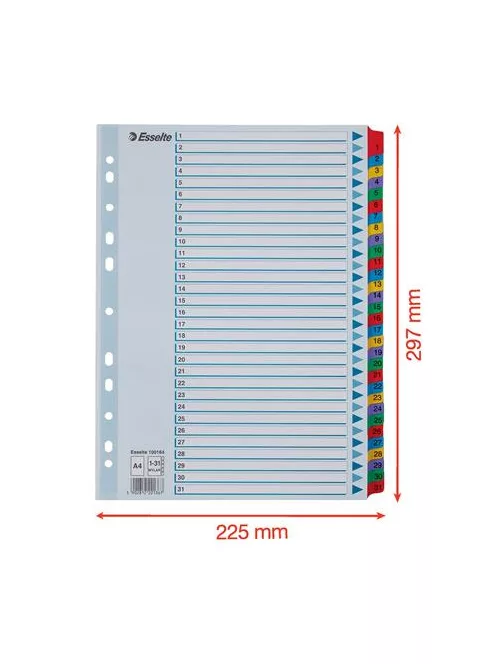 Regiszter, karton, A4, 1-31, ESSELTE "Mylar" (E100164)