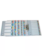 Regiszter, karton, A4, 1-31, ESSELTE "Mylar" (E100164)