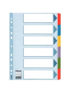   Regiszter, laminált karton, A4, 6 részes, ESSELTE "Mylar" (E100168)