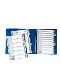   Regiszter, laminált karton, A4, 6 részes, ESSELTE "Mylar" (E100168)