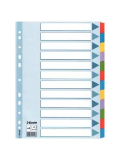   Regiszter, laminált karton, A4, 12 részes, ESSELTE "Mylar" (E100169)
